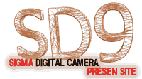 SD9 トップロゴ